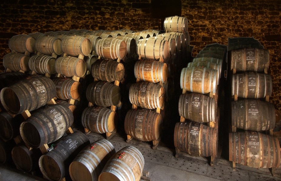 Kalkholdig jordsmonn i Cognac Grande Champagne