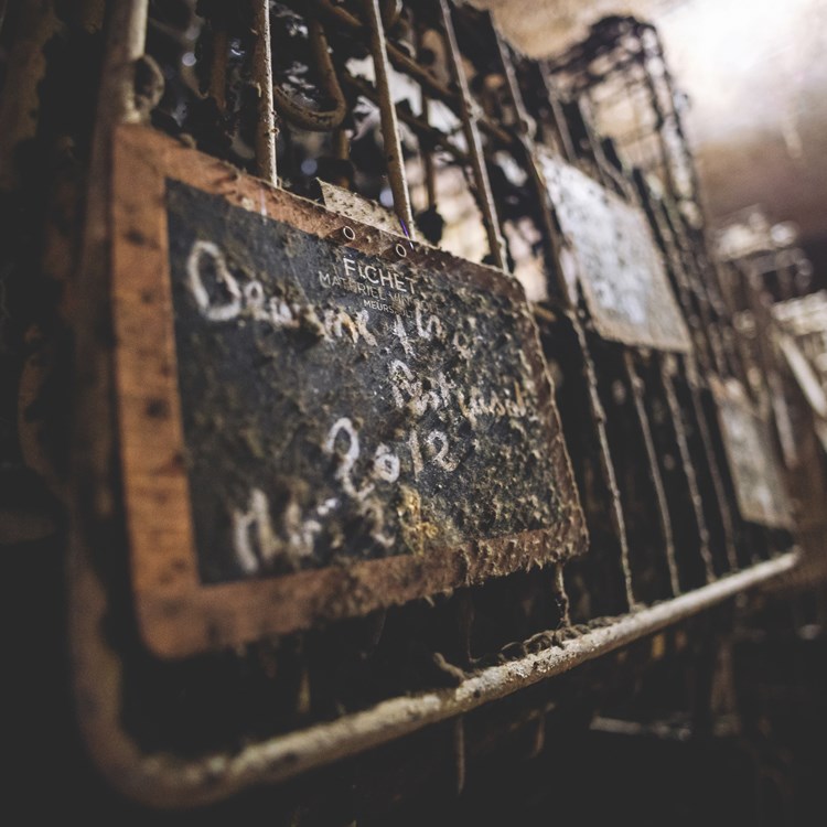 023 HD - Domaine Devevey - Portraits & Cave - 2026 - Photo-Terroir.jpg
