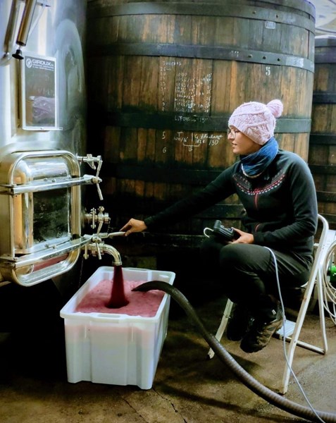 Kun de beste druene blir plukket, utelukkende for hånd. Anne-Sophie foretrekker å bruke sementtanker og større nøytrale eikefat fremfor ny eik, noe som fremhever gamay-druens delikate karakter og gir vinene god balanse, flott frukt og finesse. Halvparten av vinene modnes med bunnfallet på fat (3-7 år gamle franske eikefat), og det gjøres ingen filtrering før vinen tappes på flaske.