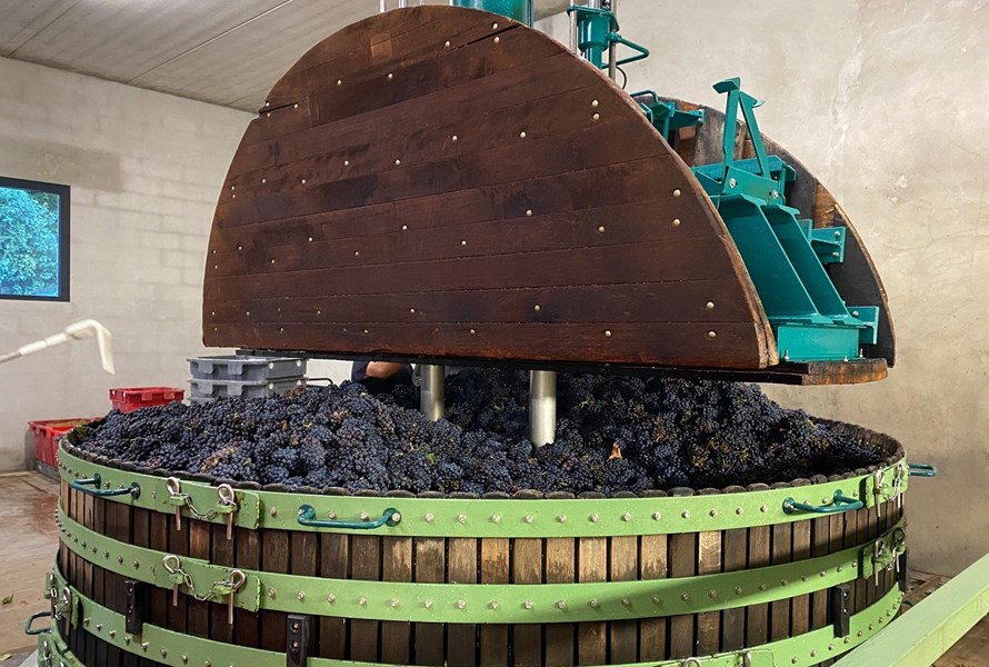 <p>Aur&eacute;lie og Lo&iuml;c arvet hver sine vinmarker i henholdsvis Villenauxe-la-Grande og Bethon, helt sydvest i Champagne, og har sl&aring;tt disse sammen til eiendommen Barrat-Masson. Deres foreldre kultiverte vinmarkene p&aring; konvensjonelt vis, men Aur&eacute;lie og Lo&iuml;c var bestemt p&aring; &aring; drive &oslash;kolgois. Konverteringen ble startet i 2005 og ble fullf&oslash;rt i 2009, og i dag er samtlige viner sertifsert &oslash;kologisk av Ecocert. De sunne vinmarkene skiller seg tydelig ut fra de livl&oslash;se, gr&aring; parsellene som dessverre ellers preger store deler av landskapet i omr&aring;det, og fruktkvaliteten er ogs&aring; noe helt annet enn det meste annet fra denne kanten. De f&oslash;rste vinene ble laget i 2011, men fortsatt selges omtrent halvparten av druene videre til n&eacute;gocianter.&nbsp;</p>