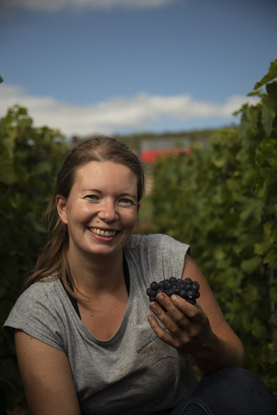 <p>Vinmarkene kultiveres etter <em>lutte raisonn&eacute;e</em>, pragmatisk &oslash;kologisk praksis. Nennsom avknopping praktiseres for &aring; holde avlingene lave. I de senere &aring;rene med mer varme har man beholdt mer bladverk som beskyttelse mot druene, samt begynt &aring; la plantene vokse h&oslash;yere.</p>