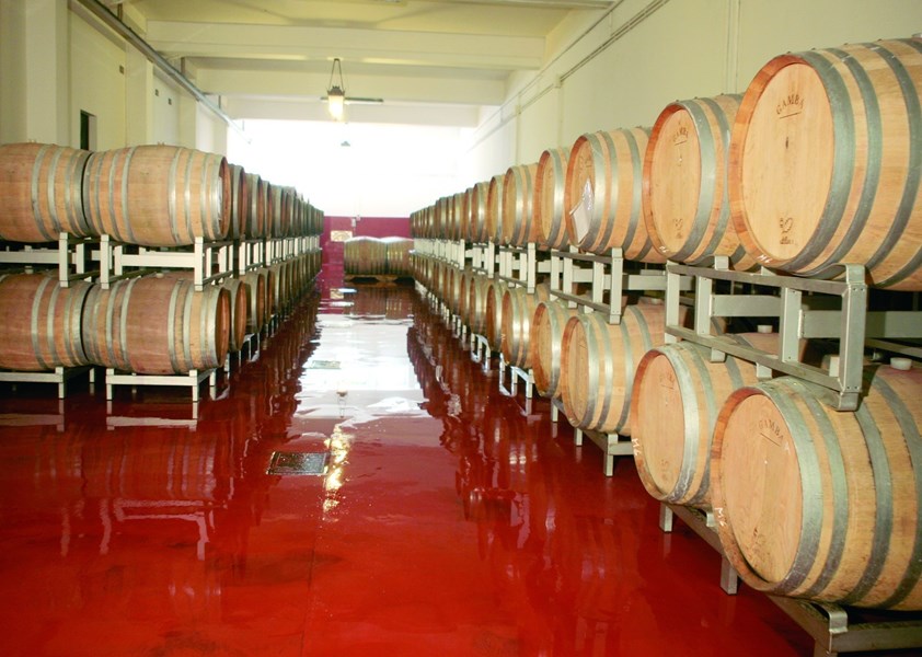 <p>Saladini Pilastri selekterer strengt n&aring;r druene h&oslash;stes inn for &aring; oppn&aring; best mulig kvalitet. Druene og mosten gjennomg&aring;r sk&aring;nsomme ekstraksjoner og det benyttes store, brukte fat, betong eller st&aring;l for fermentering og lagring. Store investeringer i kjelleren har bidratt til en sv&aelig;rt presis vinifikasjon.</p>