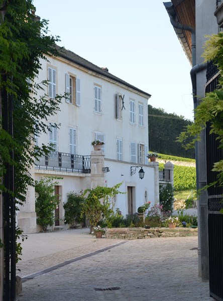 <p>Domaine Marquis d'Angerville er et av de mest ber&oslash;mte domainene i Burgund, og har v&aelig;rt det siden 1920-tallet. P&aring; dette tidlige tidspunktet f&oslash;r appellation control&eacute;e-reglene ble implementert (i 1936), styrte de store handelshusene s&aring; godt som all virksomhet i Burgund og drev med flasketapping for de sm&aring; produsentene i regionen. Far til avd&oslash;de Marquis d'Angerville registrerte til sin store irritasjon at <em>n&eacute;gociantene</em> i Beaune og omegn hyppig &oslash;dela det som i utgangspunktet var gode viner med slett kjellerarbeid. Siden 1920-tallet har domainet ikke solgt et eneste fat til <em>n&eacute;gocianter</em>. Domaine Marquis d'Angerville valgte isteden &aring; tappe vin fra egne vinmarker under egen etikett, noe som naturligvis er helt normalt i dag, men som var kontroversielt p&aring; dette tidspunktet. Jacques d'Angerville tok over domainet etter sin far i 1952 og siste &aring;rgang for hans del ble 2002; han d&oslash;de det p&aring;f&oslash;lgende &aring;ret. I dag styres virksomheten av Guillaume d'Angerville og hans vinmaker Fran&ccedil;ois Duvivier, og det lages minst like detaljerte, lekre og konsentrerte viner her som det ble gjort under det forrige regimet.</p>