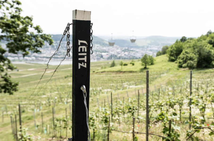 <p>Johannes jobber med et bredt spenn av teknikker og verkt&oslash;y i kjelleren, dette fordi han &oslash;nsker &aring; lage vin til alle anledninger, vin skal v&aelig;re g&oslash;y! Hans Ros&eacute;vin og innstegs-tapning av Rheingau Riesling ser begge to fermenteringer p&aring; relativt lave temperaturer for &aring; fremheve fruktighet og nyanser for de som skal drikke vinene innen ett &aring;r. N&aring;r en g&aring;r oppover kvalitetshierarkiet og vinmakingen som foreg&aring;r, s&aring; gj&oslash;r egentlig Johannes mindre og mindre, han lar druene, sedimentene og gj&aelig;rrestene gj&oslash;re jobben. Her bruker han ogs&aring; en kombinasjon av store fat og st&aring;ltank, f&oslash;r overf&oslash;ring utelukkende til store fat for Grosse Gew&auml;chse vinene sine, der ligger de n&aring; to vintre, slik at Johannes ikke lenger slipper sine GG viner den 1. september p&aring;f&oslash;lgende &aring;r, men v&aring;ren etter.&nbsp;</p>