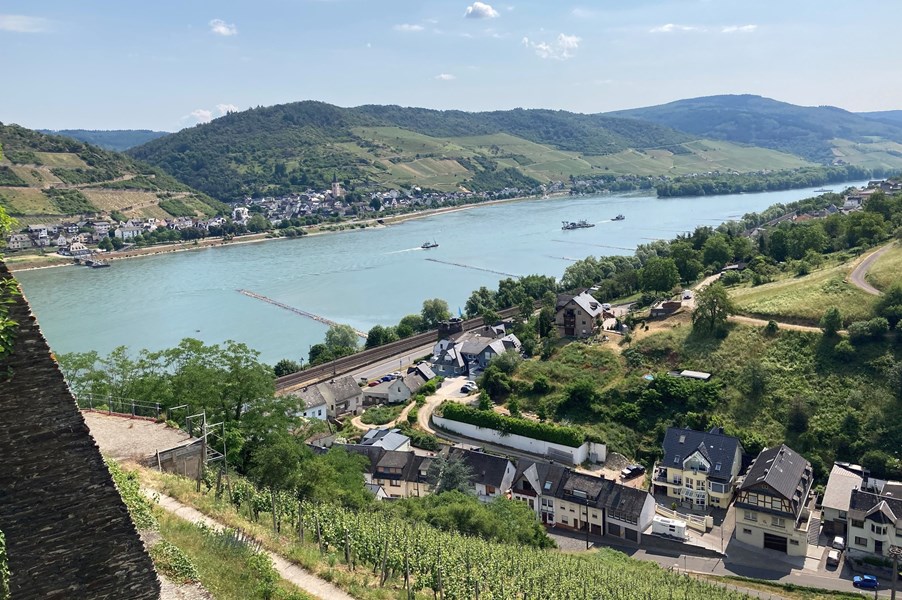 <p>Jochen og familien jobber med en rekke spennende vinmarker i Mittelrhein, og det letteste er &aring; dele de opp per vinmark;</p>
<p>&nbsp;</p>
<p>Steeger St. Jost - dette er vinmarken som starter i hagen til familien Ratzenberger, og g&aring;r rett opp de bratte &aring;ssidene. Den stiger 80 h&oslash;ydemeter rett opp, og har en sydvendt eksponering. Jordsmonnet er dominert av kalkskifer og litt sand. Det er vanskelige forhold med en del erosjon. Og etter 2003 &aring;rgangen fikk de lov &aring; installere vanningssystem her, som brukes hvis det blir alt for varm og t&oslash;rt.</p>
<p>&nbsp;</p>
<p>Wolfsh&ouml;hle - 60-65 grader helning med stupbratte sydvendte vinmarker er arnestedet til den rikeste vinen til Ratzenberger, den er fortsatt floral og line&aelig;r, men med et m&oslash;rkere og mer variert jordsmonn, s&aring; blir vinene herifra litt kraftigere og mer lagrinskrevende. Det er ogs&aring; skifer og leire her, men ogs&aring; parseller med bl&aring; og m&oslash;rk skifer.&nbsp;</p>
<p>&nbsp;</p>
<p>Schloss F&uuml;rstenberg - det nyeste tilskuddet, en 10 hektar stor vinmark som familien har re-etablert med terrasser som i gamle dager. Det er samtidig etablert et stort og langsiktig prosjekt her, sammen med Universitet i Geisenheim, som skal se p&aring; biodiversitet, kloner m.m. vinmarken er kj&oslash;ligere en Steeger St. Jost og Wolfsh&ouml;hle, og vinene er mer urtete og livlige herifra. Med tid vil vi kunne se mer dybde og intensitet, n&aring;r Jochen og familien har f&aring;tt arbeidet vinmarkene i flere &aring;r.&nbsp;&nbsp;</p>