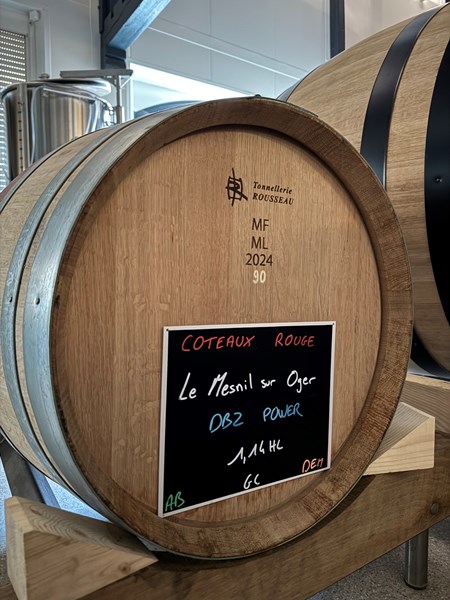 <p>Girard-Bonnet er en helt ny produsent i Champagne, men utgangspunktet kommer fra to familier som har dyrket druer siden starten av 1900-tallet. Paul Girard er s&oslash;nn av Philippe Girard og Dominique Bonnet, og etter at utleieavtalene til foreldrenes vinmarker utl&oslash;p, valgte han &aring; sl&aring; sammen de to eiendommene til Girard-Bonnet. Paul har studert vitikultur og &oslash;nologi i Avize, samt Wine Management and Business i Bordeaux, og er en ung og utforskende type.</p>