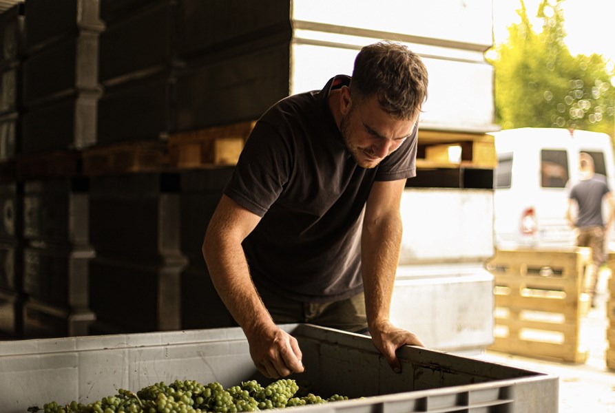 Moritz benytter seg av parseller som ligger i helninger og skråninger, da han ønsker å jobbe i vinmarker hvor det er god drenering og samtidig en kombinasjon av syd- og vestvendt soleksponering. Dette gir Moritz et stort spenn av muligheter til å blende viner, men søker alltid presisjon og friskhet i alle siner viner.<br></br>Alle vinmarkene kultiveres etter økologiske og til dels biodynamiske prinsipper. Da han gikk i lære i Champagne jobbet han mye med vekster mellom radene, både for å holde på fuktighet, men også for å lufte jordsmonnet og holde det levende og variert. Dette er i dag svært synlig i hans vinmarker, hvor blant annet kornsorter, gress og blomster er plantet mellom radene.