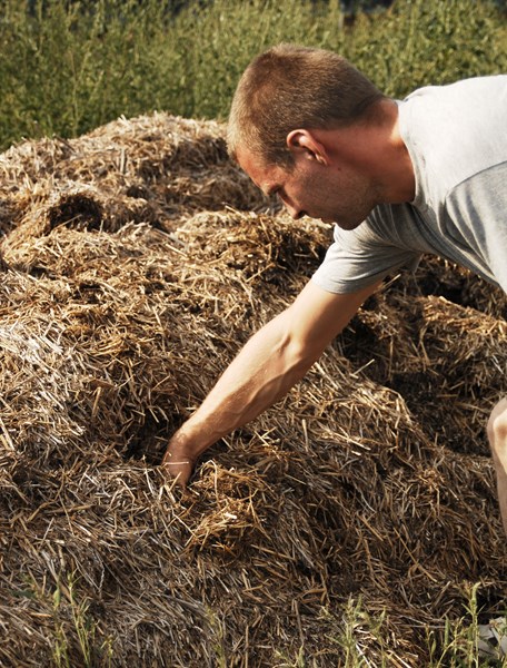 <p>De fleste vinmarkene ligger i regionen Wagram.</p>
<p>10 &aring;r med bruk av biodynamiske metoder har bidratt til &aring; betydelig styrke jordsmonnet og vinstokkenes naturlige forsvarsmekanismer. Vinstokkene er plantet med h&oslash;y tetthet, med opptil 7000 stokker per hektar.</p>
<p>Klimaet i Gols er sv&aelig;rt varmt, og jordsmonnet er ekstremt variert. Det spenner fra leirjord i de nedre vinmarkene til kalkstein h&oslash;yere oppe. En enkeltvinmarks jordsmonn kan inneholde b&aring;de humus, grus, l&oslash;ss, kalkstein og mineraler.</p>
<p>Judith Beck fokuserer p&aring; kvalitet framfor kvantitet, og druene h&aring;ndplukkes og kontrolleres n&oslash;ye i vinmarkene s&aring;vel som i kjelleren.</p>