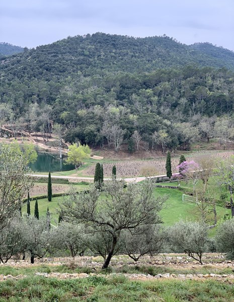 <p>Ch&acirc;teau Miraval ligger idyllisk til som en egen oase i en dal i Correns i hjertet av Provence. Det vakre vinslottet som opprinnelig var et kloster er omkranset av en over 400 hektar stor eiendom med vinstokker, oliventr&aelig;r, lavendel og skog i h&oslash;ydedrag og &aring;ssider s&aring; langt &oslash;yet kan se. Ikke bare er hele eiendommen &oslash;kologisk sertifisert - Correns er faktisk Frankrikes f&oslash;rste &oslash;kolandsby, hvor absolutt alt som dyrkes er 100 prosent &oslash;kologisk.</p>
<p>Miraval har sittet og sitter i f&oslash;rersetet for h&oslash;ykvalitets ros&eacute;vin fra Provence. Der et "hav" av temmelig like og kanskje litt kjedelige Provence-ros&eacute;er oversv&oslash;mmer verden, lener Miraval seg st&oslash;tt p&aring; mineralitet, tekstur, dybde og friskhet, kombinert med en vibrerende, delikat og naturlig fruktighet.</p>
<p>Dette skyldes eiendommens unike vekstvilk&aring;r og ikke minst Brad Pitts og Famille Perrins evne til &aring; utnytte disse. De to familiene har en felles, sterk dragning mot stadig &aring; bli bedre, hele tiden jage mot det ypperste av kvalitet, alltid strekke seg litt lenger, hele tiden se etter nye mulighet og l&oslash;sninger. Bruken av betong, de nitidige studiene av jordsmonnet, bruken av druetypen Rolle i Studio by Miraval er alle stjerneeksempler p&aring; dette.</p>
<p>Det at de ble med oss p&aring; &aring; lage verdens f&oslash;rste premium ros&eacute;vin p&aring; Bag-in-Box viser at de t&oslash;r &aring; g&aring; nye veier og f&oslash;lge Miraval-tradisjonen med &aring; &aring;pne nye vinkategorier. Navnet Studio by Miraval som henviser til musikkstudioet Jacques Loussier etablerte p&aring; eiendommen (se historikk-avsnittet), viser ogs&aring; evnene til &aring; integrere historien i fremtiden.</p>