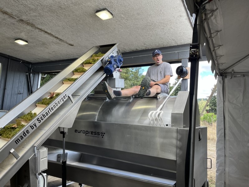 Walter Scott ble til da Ken og Erica satset alt i 2008 – de tømte sparekontoene, designet en etikett og laget første vin året etter. Starten var beskjeden, med bytte av arbeidstimer for plass på Patricia Green Cellars, og senere et opphold hos Evening Land sammen med Dominique Lafon.
I 2012 fikk de sitt nåværende hjem på Justice Vineyard (Eola-Amity Hills), takket være samarbeid med Casteel-familien fra Bethel Heights.
Navnet Walter Scott hedrer Kens bestefar Walter og nevø Scott, to personer som representerer drømmer, mot og livets korthet – verdier som gjenspeiles i vinstilen.