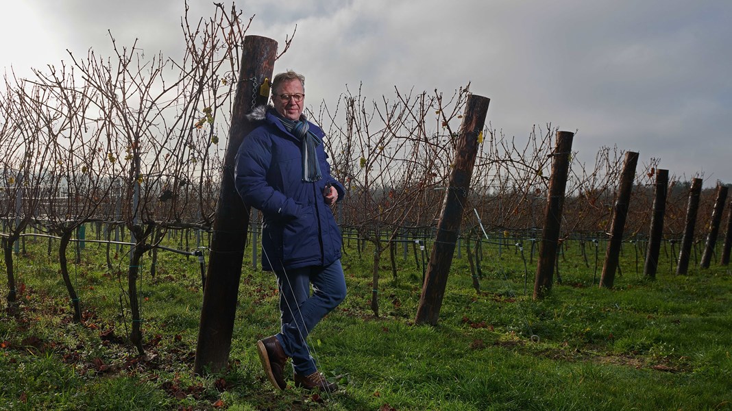 Danbury Ridge henter inspirasjon fra vinbønder og mindre domaines i Champagne og Burgund. Enn så lenge har de kun lansert stille viner, men de jobber med utviklingen av et knippe førsteklasses musserende viner.
