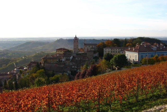 <p>Kommunen Monforte betraktes av entusiaster som hjertet i DOCG Barolo. Den vanligste begrunnelsen for dette synet er kommunens vinstil, som er den kraftigste og mest substansrike i hele Barolosonen. En skikkelig Monfortebarolo skal sette solide spor i det sensoriske apparatet. Monfortevinene er gjerne m&oslash;rke og kraftige og oppleves sjelden som utpreget prim&aelig;rfruktige, selv om det finnes unntak, for eksempel Aldo Conternos Barolo Cicala fra h&oslash;yt beliggende vinmarker i kommunen. P&aring; tegnebrettet er barolo fra Monforte ofte preget av t&oslash;rkede frukter med varierende grad av friskt preg, tj&aelig;re, r&oslash;kpreg, lakris og ogs&aring; fuktig undervegetasjon. Munnf&oslash;lelsen er betydelig og tanninstrukturen markerer seg ofte som et grovt snarere enn fint sandpapir gjennom munnhulen og smakskurven. Det samme gjelder for barbera og dolcetto, de er ogs&aring; gjennomg&aring;ende preget av kraft og intensitet i Monforte.</p>