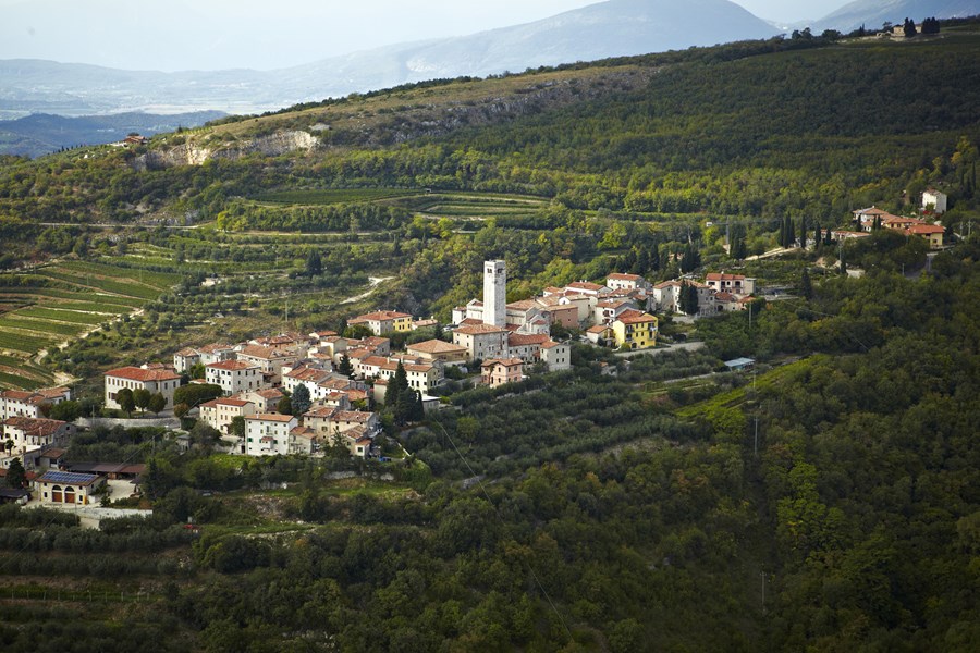 <p>Det var Giovanni Allegrini som f&oslash;rst startet med tapping av vin fra familiens eiendommer. P&aring; 1960-tallet markerte han seg, som den femte generasjonen Allegrini, med en n&oslash;kkelrolle i renessansen for Valpolicella-regionen. Med innf&oslash;ring av innovative og banebrytende metoder innen b&aring;de dyrking og vinmaking, behersket Giovanni kunsten &aring; produsere fremragende viner. Etter hans bortgang i 1983, overtok hans tre barn, Franco, Marilisa og Walter, stafettpinnen. I dag er det Francos barn, Francesco, Giovanni og Matteo, som sammen med deres kusine Silvia, b&aelig;rer Allegrinis lidenskap videre.</p>