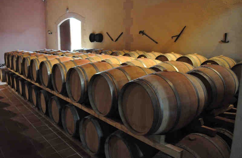 Eiendommen består av 20 hektar med vinmark, hovedsakelig plantet med merlot, men også med cabernet sauvignon og mindre andeler cabernet franc og petit verdot. Beliggenheten nord i Bordeaux, nært Atlanterhavet og Gironde, gjør forholdene kjøligere og mer vindfulle enn ellers i regionen. Jordsmonnet i Saint-Christoly de Médoc består som så ofte i Bordeaux av grus, men også med innslag av kalkstein og leire, noe som gjør merlot til den foretrukne druesorten.<br></br>Denne delen av Bordeaux må kunne sies å være undervurdert, men de siste års utvikling med varmere og tørrere klimatiske forhold har vært gunstig for druemodningen og vinkvaliteten, og Médoc som appellasjon fremstår i dag mer interessant enn noen gang.