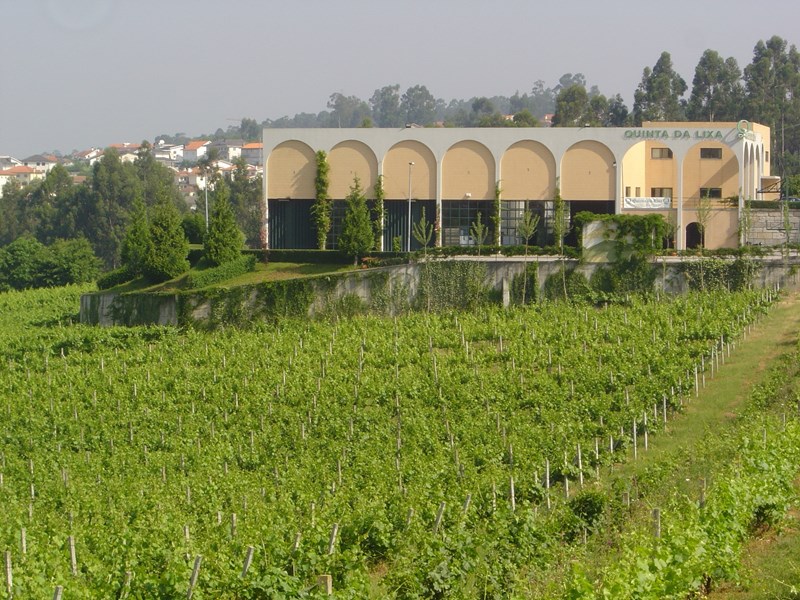 Familien Meireles har alltid hatt en stor lidenskap for Vinho Verde, og i 1986 bestemte de seg for å starte selskapet Soporvin-Sociedade Portuguesa de Vinhos. Til å begynne med solgte de vinen sin i bulk, men forstod raskt at denne kvaliteten burde tappes fra egen kjeller.

I dag heter selskapet Quinta da Lixa - Sociedade Agricola, etter deres vinmark med samme navn som de kjøpte i 1992. Quinta da Lixa omfattet den gangen 10 hektar, men med nyplantinger og oppkjøp eier selskapet i dag totalt 52 hektar med vinmarker spredt over flere områder.

Quinta da Lixa startet i 1994 på arbeidet med sitt nye kjelleranlegg, som i dag dekker 3000 m2. I tillegg til å romme kontorer, et laboratorium og et utsalg, har anlegget en produksjonkapasitet på hele 2,5 millioner liter.