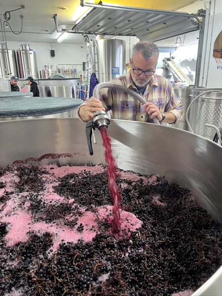 Uttrykk av sted: Pinot Noir og Chardonnay skal speile vinmarken og jordsmonnet de kommer fra. Hver vin er en ren og presis tolkning av terroir, enten det er vulkansk basalt med høy syre og rødfruktighet eller marine sedimenter med mørkere frukt og silkestruktur.
Detaljfokus: Som de selv sier, “It is the details that make the difference between magic and mediocrity.” Alt i arbeidet, fra reduksjon av avlinger i vinmarkene til valg av fat og minimal intervensjon i kjelleren, handler om å løfte kvaliteten.
Naturlig og lavintervensjon: Spontanfermentering, minimalt med pump-over/pigeage, lav bruk av svovel, ufiltrerte viner. Målet er balanse og transparens, ikke å maskere druens eller vinmarkens uttrykk.
Inspirasjon fra Burgund: De behandler sine basisviner (La Combe Verte) med samme seriøsitet som enkeltvinmarksvinene – inspirert av Becky Wasserman og klassisk Burgundisk tankegang.
Bærekraft & samarbeid: De jobber nesten utelukkende med organisk (mange biodynamisk) drevne vinmarker, og er tett knyttet til et lite nettverk av vinbønder de har bygget langsiktige relasjoner med.