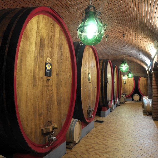 <p>Under ledelse av br&oslash;drene Francesco, Giovanni, Matteo Allegrini, og deres kusine Silvia, st&aring;r Allegrini for en filosofi som forener tradisjon med innovasjon. Deres dedikasjon til &aring; bevare familiearven og de lokale tradisjonene, i kombinasjon med en vilje til &aring; utforske nye veier, etablerer dem som en ledestjerne i vinproduksjonen i Veneto. Med et spekter fra den lettdrikkelige og fruktige Valpolicella til den komplekse og rike Amarone, opprettholder Allegrini et konsekvent fokus p&aring; kvalitet, produktutvikling og innovasjon i prosesser, som uttrykker deres forpliktelse til vinproduksjon og markedsutvikling.</p>