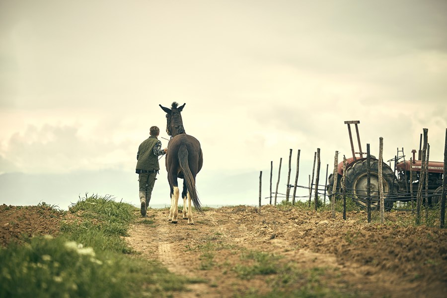 Karanikas' historie begynner med drømmen til to individer og deres søken etter god vin. Domaine Karanika ble grunnlagt av Laurens M. Hartman – Karanika, sønn av en gresk mor og en nederlandsk far, sammen med hans kone Annette van Kampen. Begge har tilbrakt hele livet i Nederland og hadde arbeidet i omtrent 15 år i ulike lederstillinger innen forlagsbransjen. Deres felles lidenskap for kvalitetsvin og misnøye med de kommersielle "Parkerised"-vinene førte dem til å forfølge drømmen sin i begynnelsen av 2004: å produsere økologiske musserende viner av verdensklasse ved å bruke den tradisjonelle metoden (méthode traditionelle). Gjennom årene utdannet de seg som vinmakere, ønologer og vingårdsmenn i både Europa og USA mens de lette etter den perfekte kombinasjonen av terroir og druesorter. Etter grundige overveielser av alternativer fra Australia til Tyskland, ble deres kjærlighet for den greske Xinomavro-druen den avgjørende faktoren.