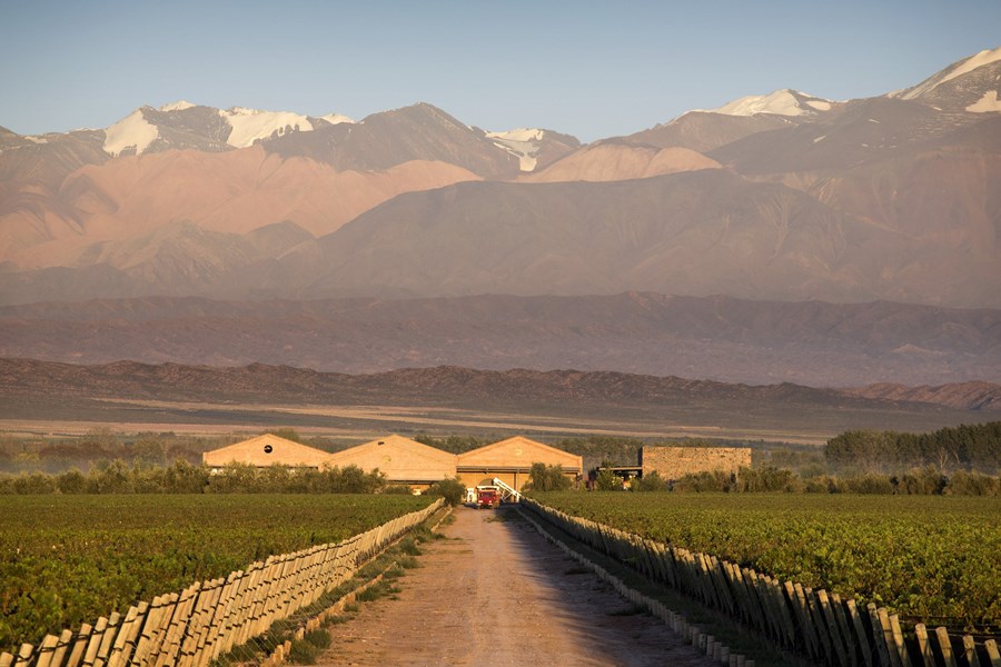 <p>Alberto Antonini er Chakanas konsulterende vinmaker. Hans navn er kjent i den moderne Argentinske vinverden, etter han involverte seg i renessansen av druen Malbec i landet fra rundt 1995. I dag er han flyvende vinmaker hos en lang rekke vinhus i Argentina og resten av verden. Antonini har doktorgrad i landbruk fra Universitetet i Firenze, samt &oslash;nologistudier i Bordeaux og California, og har v&aelig;rt vinmaker hos Antinori og Frescobaldi i Toscana.</p>