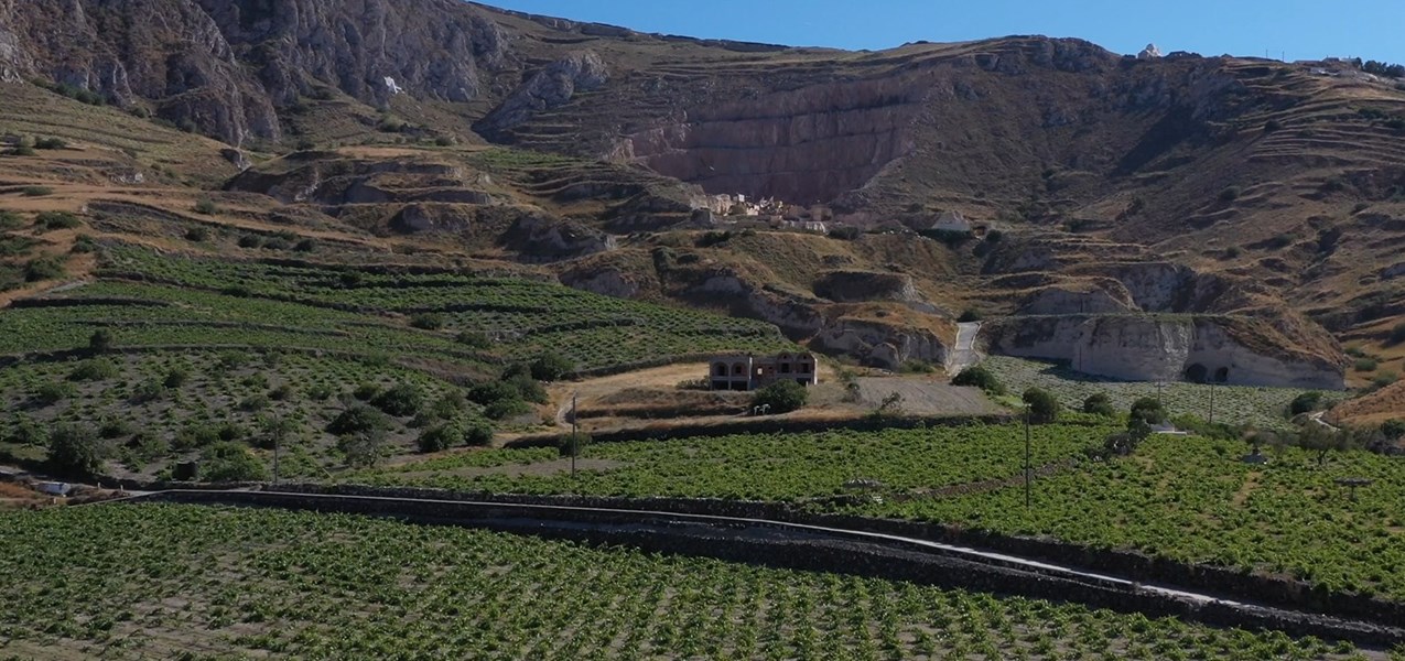 <p>Santorini har et unikt terroir. &Oslash;yen ligger p&aring; en vulkan og toppjorden best&aring;r av sand, vulkansk aske, pimpstein og magmatisk lava, noe som bidrar til at vinene ofte viser en karakteristisk salinitet. Dette gj&oslash;r ogs&aring; at vinlusen phylloxera ikke er en utfordring. Noe som derimot m&aring; hensyntas flere steder p&aring; &oslash;ya er den sterke vinden, og derfor er disse vinmarkene tradisjonelt bundet opp med en metode som kalles kouloura, som inneb&aelig;rer at plantens vekst hvert &aring;r bindes rundt veksten fra det forrige &aring;ret og over tid danner en beskyttende kurv. Dette er sv&aelig;rt arbeidskrevende, men gj&oslash;r ogs&aring; at plantene klarer &aring; samle tilstrekkelig fuktighet, noe som eliminerer behovet for vanning. En annen variant som Estate Argyros benytter i mindre vindutsatte omr&aring;der, er koulouri, hvor planten bindes opp h&oslash;yere, har mindre treverk og gir mer eksponerte klaser, noe som vil si mer direkte sollys, men ogs&aring; bedre ventilering.</p>
<p>Vinstokkene til Estate Argyros er upodede og sv&aelig;rt gamle. I gjennomsnitt er plantene 70 &aring;r gamle, men de eldste har en alder p&aring; opp mot 220 &aring;r. Vinmarkene kultiveres p&aring; &oslash;kologisk vis, og biodynamiske prinsipper anvendes ogs&aring; i noen av toppvinmarkene. Utbyttene i dette t&oslash;ffe, t&oslash;rre klimaet ligger p&aring; beskjedne 20 hektoliter per hektar.</p>