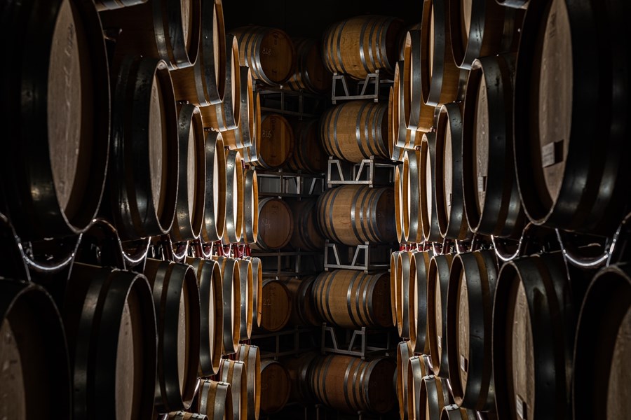 Poggio al Tesoro produserer viner med personlighet, kraft og kompleksitet, samtidig som de har stor eleganse og dybde. Etter bare noen få år – men mye hardt arbeid – er Poggio al Tesoro nå en blomstrende eiendom på 70 hektar i ypperste klasse i Bolgheri. Vitikulturen er bærekraftig, og vinene viser druetypisitet med mye karakter og friskhet.