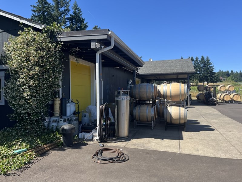 Walter Scott ble til da Ken og Erica satset alt i 2008 – de tømte sparekontoene, designet en etikett og laget første vin året etter. Starten var beskjeden, med bytte av arbeidstimer for plass på Patricia Green Cellars, og senere et opphold hos Evening Land sammen med Dominique Lafon.
I 2012 fikk de sitt nåværende hjem på Justice Vineyard (Eola-Amity Hills), takket være samarbeid med Casteel-familien fra Bethel Heights.
Navnet Walter Scott hedrer Kens bestefar Walter og nevø Scott, to personer som representerer drømmer, mot og livets korthet – verdier som gjenspeiles i vinstilen.