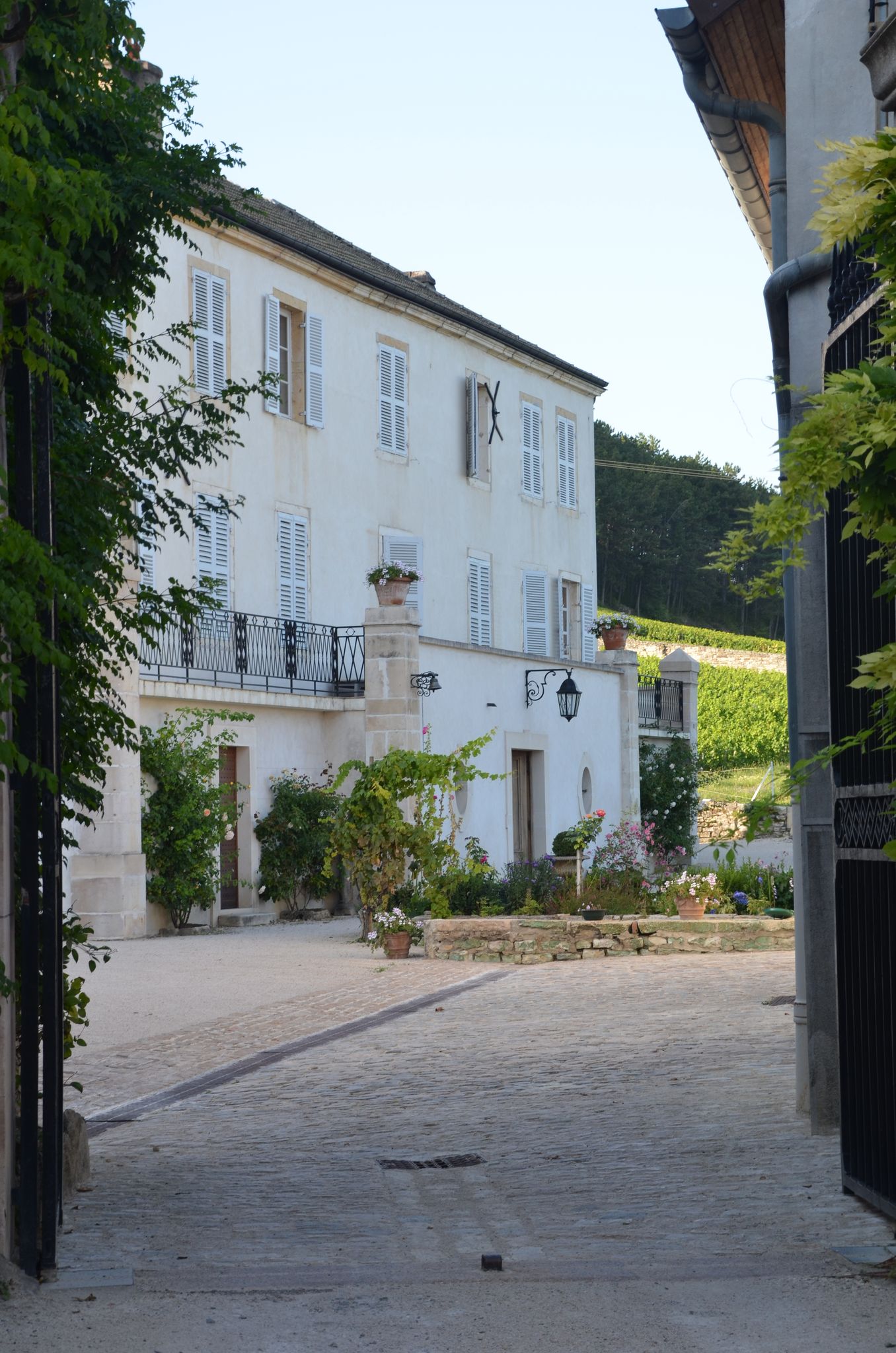 <p>Domaine Marquis d'Angerville er et av de mest ber&oslash;mte domainene i Burgund, og har v&aelig;rt det siden 1920-tallet. P&aring; dette tidlige tidspunktet f&oslash;r appellation control&eacute;e-reglene ble implementert (i 1936), styrte de store handelshusene s&aring; godt som all virksomhet i Burgund og drev med flasketapping for de sm&aring; produsentene i regionen. Far til avd&oslash;de Marquis d'Angerville registrerte til sin store irritasjon at <em>n&eacute;gociantene</em> i Beaune og omegn hyppig &oslash;dela det som i utgangspunktet var gode viner med slett kjellerarbeid. Siden 1920-tallet har domainet ikke solgt et eneste fat til <em>n&eacute;gocianter</em>. Domaine Marquis d'Angerville valgte isteden &aring; tappe vin fra egne vinmarker under egen etikett, noe som naturligvis er helt normalt i dag, men som var kontroversielt p&aring; dette tidspunktet. Jacques d'Angerville tok over domainet etter sin far i 1952 og siste &aring;rgang for hans del ble 2002; han d&oslash;de det p&aring;f&oslash;lgende &aring;ret. I dag styres virksomheten av Guillaume d'Angerville og hans vinmaker Fran&ccedil;ois Duvivier, og det lages minst like detaljerte, lekre og konsentrerte viner her som det ble gjort under det forrige regimet.</p>