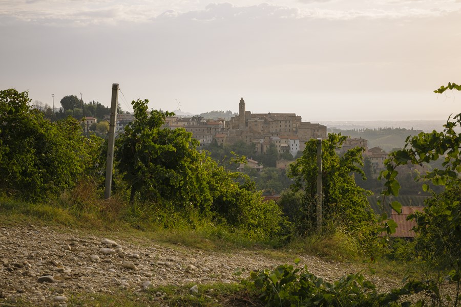 <p>Grevskapet Saladini Pilastri ved landsbyen Spinetoli helt s&oslash;r i Marche, g&aring;r helt tilbake til &aring;r 1000 e.Kr. Familien har hatt en sentral rolle innen presteskap og politisk ledelse i &aring;rhundrer. G&aring;rdsdriften har p&aring;g&aring;tt i over tre hundre &aring;r, og de har v&aelig;rt en del av vinproduksjon i lang tid. F&oslash;rst som et lagringssted for de lokale b&oslash;ndenes viner, og etter hvert ogs&aring; som selvstendig produsent av vin fra egne vinmarker.</p>
<p>Det fantastisk vakre huset fra 1400-tallet omkranses av den 320 ha store g&aring;rden fordelt p&aring; olivenlunder og vinmark kun 8 kilometer fra Adriaterhavet i &oslash;st. Huset og ving&aring;rden er i dag eid og bebodd av den litt eksentriske, men jordn&aelig;re greven Il Conte Saladino Saladini Pilastri.</p>
<p>P&aring; 1970-tallet ble nye vinstokker plantet og et nytt produksjonsanlegg og vinkjeller ble bygd ved siden av det opprinnelige s&aring; vinifikasjonen kunne fortsette p&aring; samme sted.</p>
<p>Den kvalitetsmessige oppturen startet da den velkjente &oslash;nologen Roberto Cipresso p&aring; starten av 1990-tallet endret store deler av produksjonen, b&aring;de i vinmarkene og i vinkjelleren. Alle steiner ble snudd for &aring; f&aring; full effekt av den omfattende omleggingen. &Oslash;kologisk dyrking ble innf&oslash;rt og vinene har v&aelig;rt &oslash;kologisk sertifiserte siden 1994.</p>
<p>Robertos arbeid ble videref&oslash;rt av den anerkjente &oslash;nologen Alberto Antonini. Alberto reduserte fatbruken ytterligere og bidro med enda mer sk&aring;nsom vinifikasjon. Vinene ble med andre ord ytterligere finjustert og mer elegante.</p>
<p>I dag er det en ny generasjon vinmakere og vinmarksansvarlige som st&aring;r for utviklingen. Fabio Felicioni (f.1990) har r&oslash;ttene sine i Marche og har studert ved det lokale universitet i Teramo. Hans tiln&aelig;rming er i tr&aring;d med hans forgjengere, og han er p&aring; utrettelig jakt etter det mest elegante og delikate uttrykket for sangiovese og montepulciano i kombinasjon.</p>
<p>Han har i tillegg utviklet hvitvinsportef&oslash;ljen til &aring; bli skikkelig interessant og deres saftge og friske DOCG Offida-viner finner du p&aring; flere restauranter i Norge og i bestillingsutvalget til Vinmonopolet.</p>