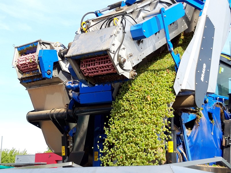 Jordsmonnet i Pouilly-sur-Loire består hovedsaklig av kalkholdig mergel i kombinasjon med andre geologiske forekomster. De minst distinkte vinene kommer fra vinmarker der mergelforekomstene er mikset med grus og grusholdig sand. Det gir forholdsvis snille og fruktige viner. Den bløteste og mest drueekspressive stilen finnes i vin fra lavtliggende områder langs elvebredden av Loire. Appellasjonens sterkeste og mest markante jordsmonn finner vi utvilsomt i hjertet av Pouilly, i området rundt St.-Andelain, der en kombinasjon av mergel, kalk og flint (silex) bidrar til å produsere vin med distinkt syrlighet, fast struktur, avdempet og variert aromabilde og sterk jordsmonnskarakter. I motsetning til de drueekspressive versjonene, som med fordel kan drikkes nokså umiddelbart etter tapping på flaske, kan de steinete utgavene lagres noen år, gjerne 5-8 år dersom årgangen inviterer til det.