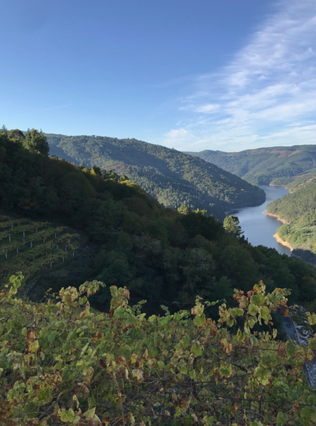 Rául Pérez satte Ribeira Sacra tilbake på vinkartet med sin El Pecado 2005 som fikk topp internasjonal skår. Vinen banet vei for gjenoppdagelsen av enkeltvinmarksviner og terroirviner fra Ribeira Sacra. El Pecado var og er fortsatt et samarbeid med Pedro Rodriguez fra Guímaro, mens Castro Candaz er Raúls prosjekt med Rias Baixas -produsenten Rodrigo Méndez (Forjas del Salnés). Første årgang Castro Candaz ble laget i 2013. Den amerikanske vinimportøren Skurnik har tidligere hatt enerett til deres entry level vin, Mencia Joven, men fra 2020 fikk vi endelig lov til å la den bli en del av vårt sortiment også i Norge.