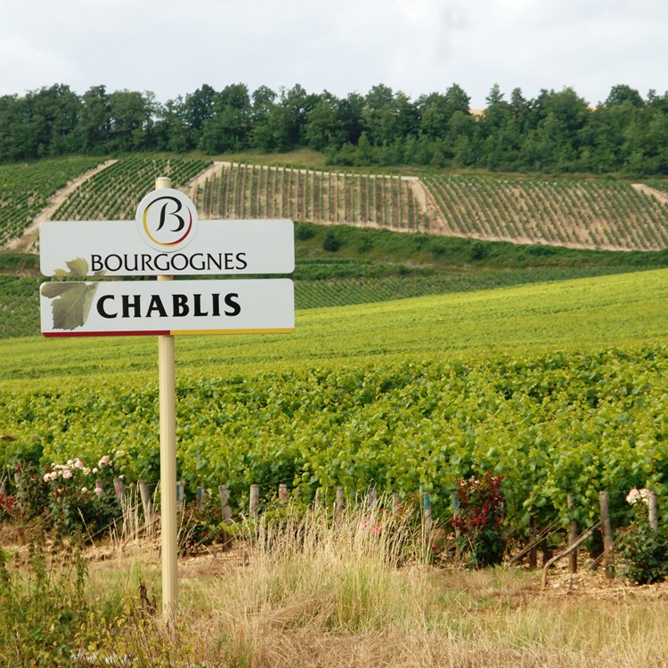 Chablis.JPG