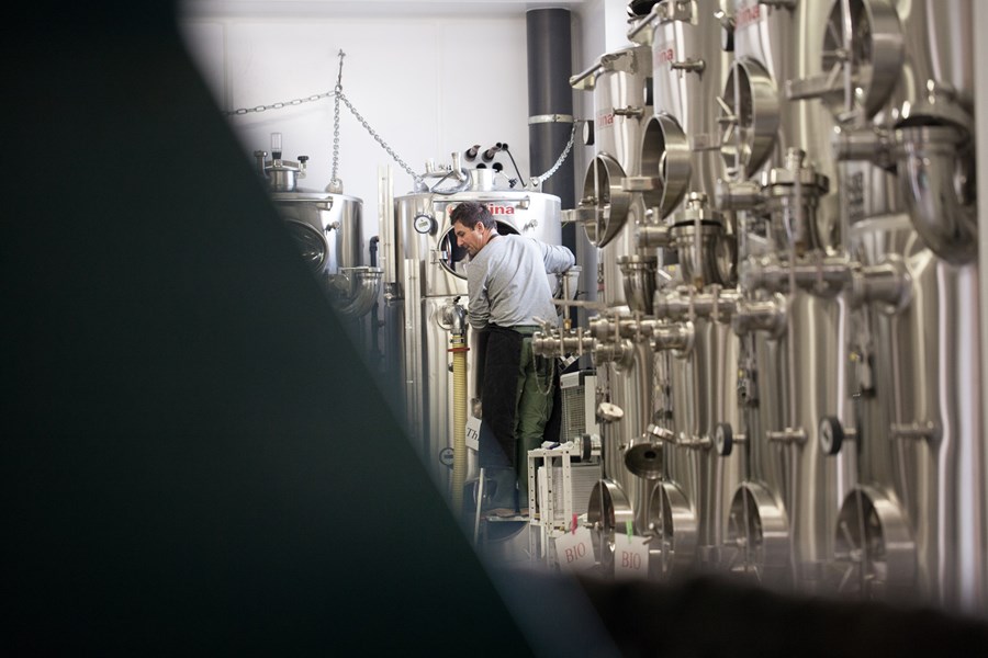 <p>Aur&eacute;lie og Lo&iuml;c arvet hver sine vinmarker i henholdsvis Villenauxe-la-Grande og Bethon, helt sydvest i Champagne, og har sl&aring;tt disse sammen til eiendommen Barrat-Masson. Deres foreldre kultiverte vinmarkene p&aring; konvensjonelt vis, men Aur&eacute;lie og Lo&iuml;c var bestemt p&aring; &aring; drive &oslash;kolgois. Konverteringen ble startet i 2005 og ble fullf&oslash;rt i 2009, og i dag er samtlige viner sertifsert &oslash;kologisk av Ecocert. De sunne vinmarkene skiller seg tydelig ut fra de livl&oslash;se, gr&aring; parsellene som dessverre ellers preger store deler av landskapet i omr&aring;det, og fruktkvaliteten er ogs&aring; noe helt annet enn det meste annet fra denne kanten. De f&oslash;rste vinene ble laget i 2011, men fortsatt selges omtrent halvparten av druene videre til n&eacute;gocianter.&nbsp;</p>