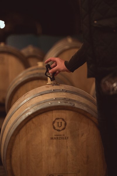 <p>Druene h&aring;ndh&oslash;stes i sm&aring; kasser og presses i Coquard og pneumatisk presse avhengig av druetype. Alle vinene spontanfermenteres p&aring; 205-liters fat fra Tonnellerie de Champagne Cauroy-l&egrave;s-Hermonville, en lokal leverand&oslash;r som bruker lokale eiketr&aelig;r til produksjonen. <em>&Eacute;levage</em> gjennomf&oslash;res med h&oslash;y grad av presisjon i en kj&oslash;lig kjeller. Etter lagring p&aring; bunnfall i flaske i 18-24 m&aring;neder, tilsettes det sm&aring; mengder <em>dosage</em>, mellom 0 og 3 g/l avhengig av cuv&eacute;e.</p>