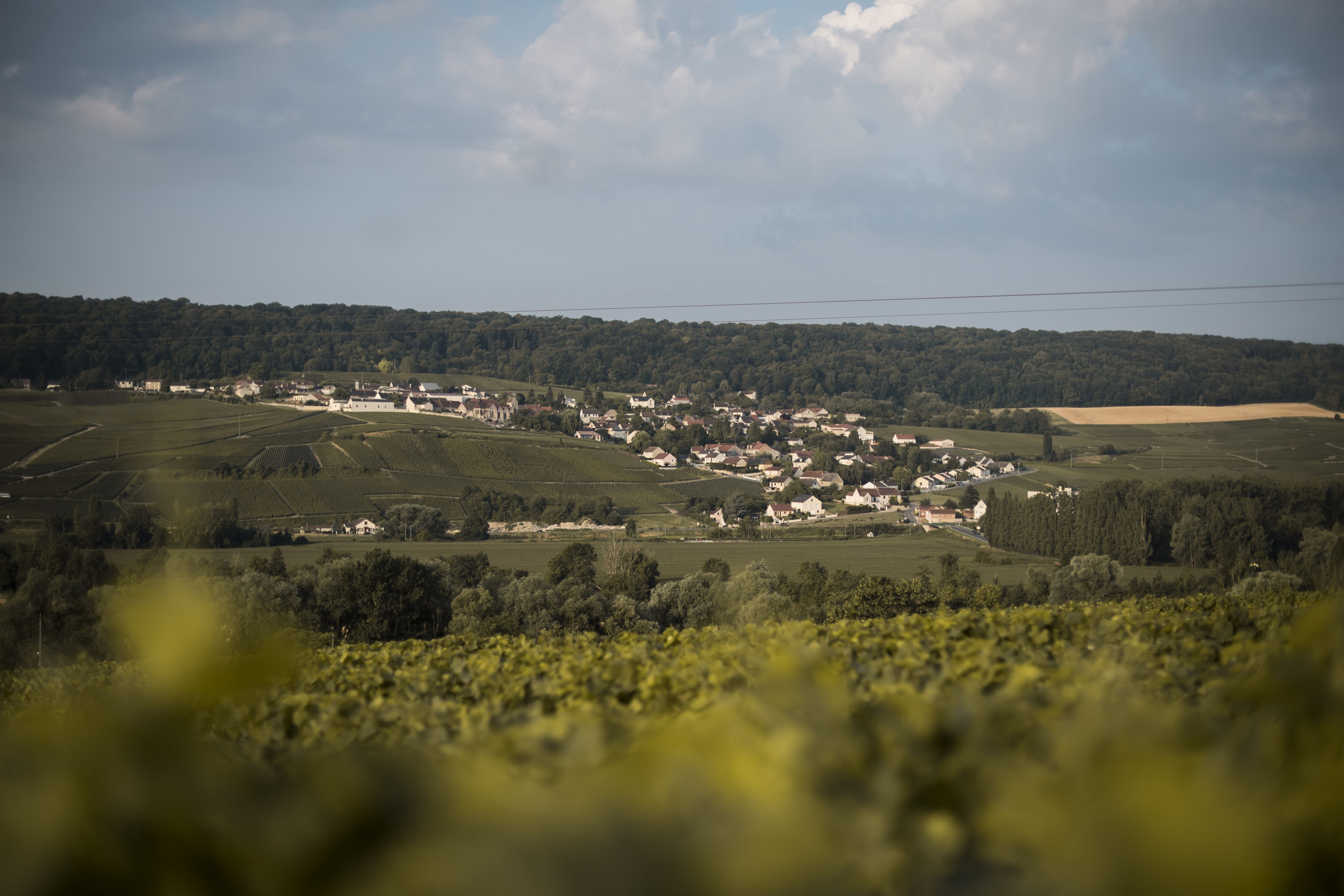 <p>Siden 1780 har Champagne Tarlant holdt til h&oslash;yt oppe i &aring;ssiden over landsbyen Oeuilly, noen kilometer vest for &Eacute;pernay. I dag drives eiendommen av s&oslash;skenparet M&eacute;lanie og Beno&icirc;t Tarlant, som er tolvte generasjon. De disponerer 14 hektar med vinmark fordelt p&aring; hele 48 forskjellige parseller i de fire landsbyene Oeuilly, Boursault, St.-Agnan and Celles-l&egrave;s-Cond&eacute;. En kort titt p&aring; et kart over Champagne forteller oss at vi ikke befinner oss i de mest anerkjente vinmarkene i Champagne. Det har ikke forhindret Tarlant-familien fra &aring; jobbe like seri&oslash;st, og vel s&aring; det, som de antatt beste produsentene i Champagne. Og dedikert jobbing skaper som kjent resultater. Det er her vi finner n&oslash;kkelen til familiehusets suksess.</p>