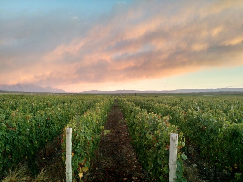 <p>Klimaet i Mendoza er preget av at det ligger h&oslash;yt over havet. Dette gir kj&oslash;lig og lang vekstsesong, og s&aelig;rlig er det forskjellen p&aring; natt- og dagtemperatur som spiller inn for &aring; gi friske og saftige viner. &Aring;rstidene og v&aelig;rforholdene er normalt sv&aelig;rt forutsigbare og jevne, med hagl om sommeren, kalt La Piedra, som st&oslash;rste trussel. Jordsmonnet er preget av alluviale forekomster, i hovedsak sand over leire. Det er sv&aelig;rt t&oslash;rt i omr&aring;det (200 mm &aring;rlig regn), og jordbruket er helt avhengig av vanning. Vannet kommer fra fjellene og smeltevann fra isbreer. Vanningssystemet er infl&oslash;kt utbygget gjennom kanaler i landskapet, og tilgangen styres av myndighetene.</p>