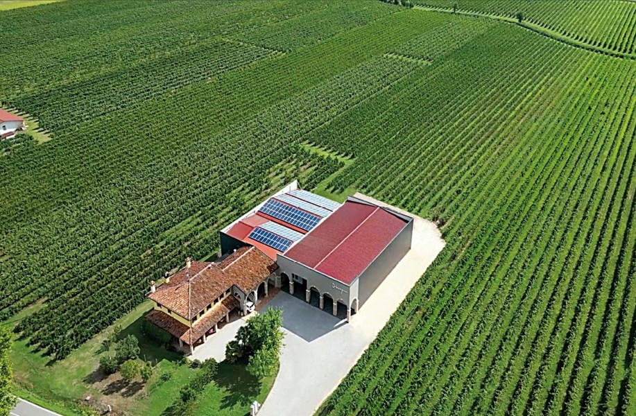 Azienda Agricola Dissegna ble grunnlagt i 1925 av bestefar Antonio Dissegna. På 1950-tallet tok sønnen Giovanni ansvar for driften, og i dag er det tredje generasjon – Francesco Dissegna – som viderefører arven. I 1998 tok Francesco det viktige steget over til full økologisk drift, og vinhuset viser dermed en dyp respekt for naturens egen rytme. Produksjonen moderniseres stadig, samtidig som tradisjonene bevares. Dissegna er i dag en respektert økologisk produsent i Veneto-regionen, kjent for sin integritet og tro på “kvalitet i naturens eget tempo”.