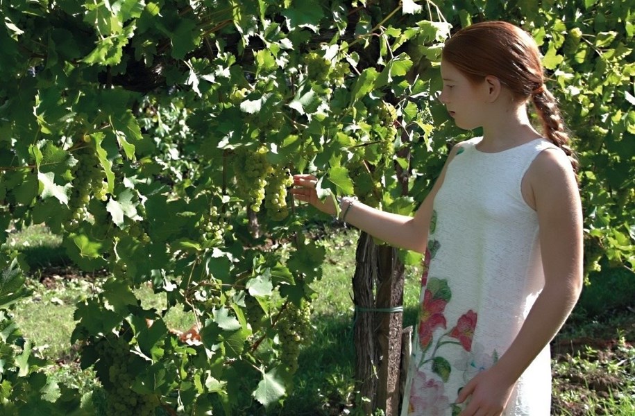 Azienda Agricola Dissegna ble grunnlagt i 1925 av bestefar Antonio Dissegna. På 1950-tallet tok sønnen Giovanni ansvar for driften, og i dag er det tredje generasjon – Francesco Dissegna – som viderefører arven. I 1998 tok Francesco det viktige steget over til full økologisk drift, og vinhuset viser dermed en dyp respekt for naturens egen rytme. Produksjonen moderniseres stadig, samtidig som tradisjonene bevares. Dissegna er i dag en respektert økologisk produsent i Veneto-regionen, kjent for sin integritet og tro på “kvalitet i naturens eget tempo”.