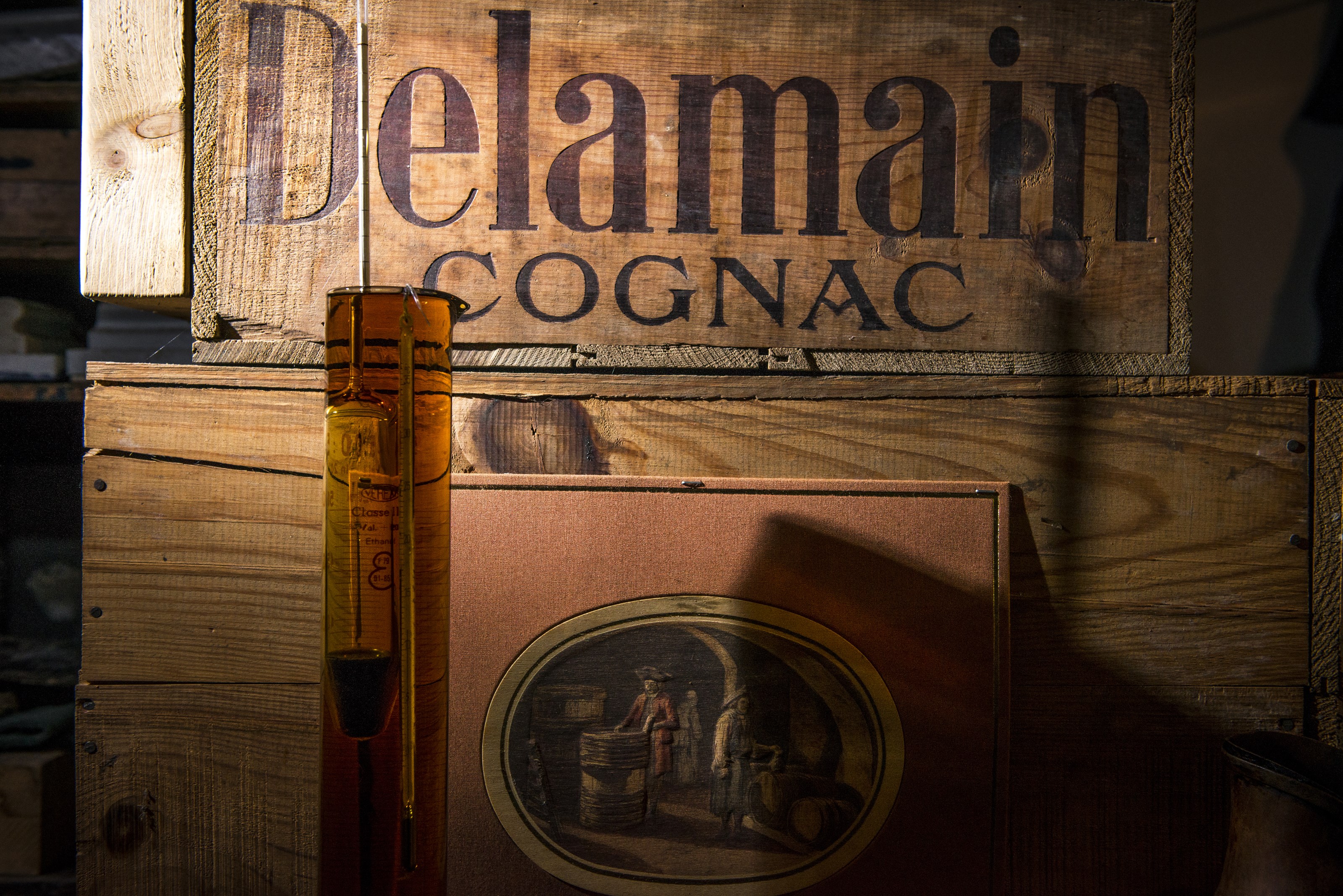 <p>Druene til Delamains cognacer er utelukkende fra Grande Champagne. I underkant av 20 prosent av all cognac stammer herfra, den beste underregionen i Cognac med den h&oslash;yeste kalkandelen i jordsmonnet. Segonzac er sentrum i regionen, og byen Cognac ligger 20 minutter i nordvest, mens Jarnac der Delamain holder til, er cirka 10 min med bil nord for Segonzac. Karakteristisk for cognacene fra Grand Champagne er deres florale, delikate og transparente kvaliteter. De er lette og elegante samtidig som de er intense og karaktersterke. De egner seg ypperlig for lagring.</p>