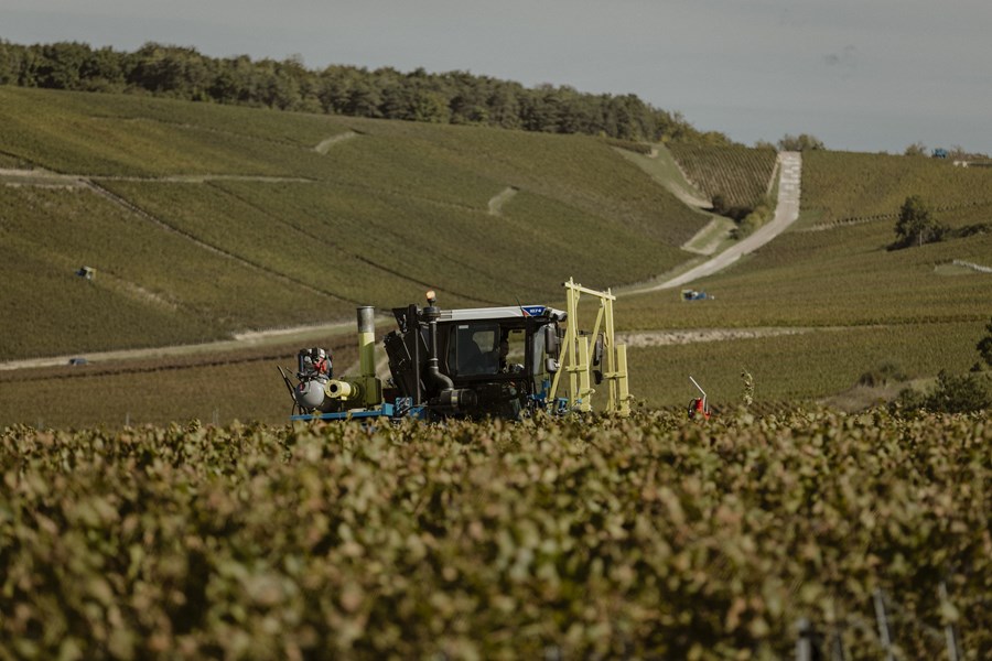 <p>Hver parsell vinifiseres for seg med lokal gj&aelig;r p&aring; enten rustfrie st&aring;ltanker eller brukte eikefat. Den malolaktiske gj&aelig;ringen gjennomf&oslash;res naturlig. Vinene tappes p&aring; flaske uten klaring eller filtrering, og lagres p&aring; bunnfallet i rundt to &aring;r. Det tilsettes ingen <em>dosage</em> og fra 2020-&aring;rgangen er vinene laget uten tilsatt sulfitt.</p>