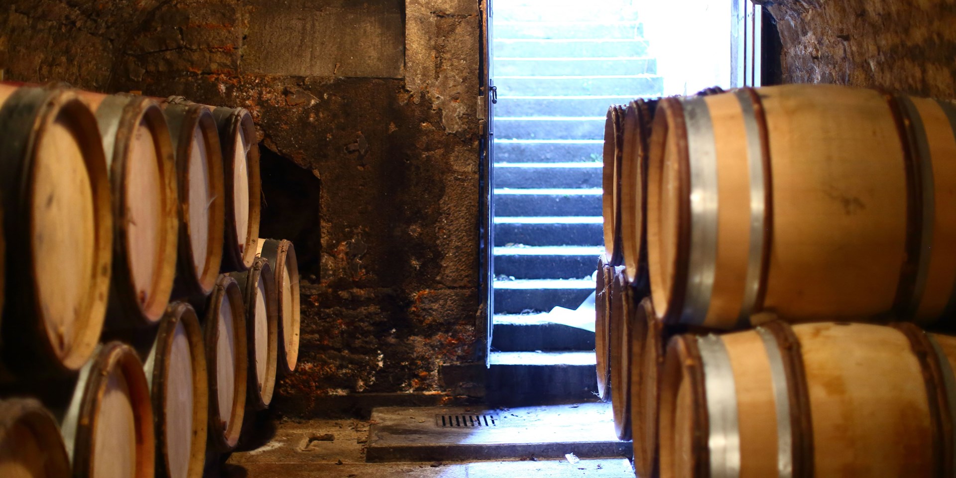 DOMAINE MATROT 302.jpg