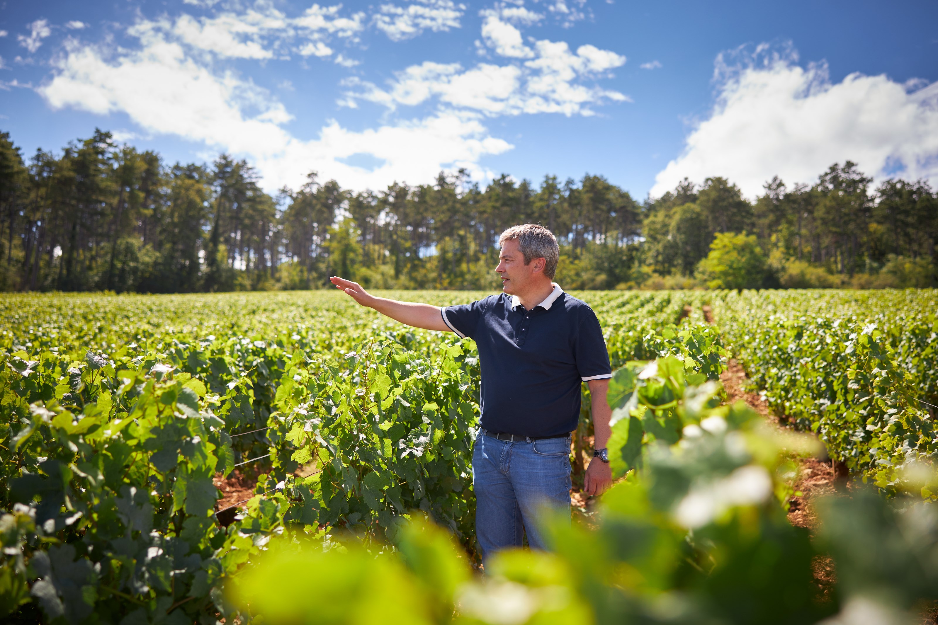 Domaine_Taupenot_Merme_144.jpg