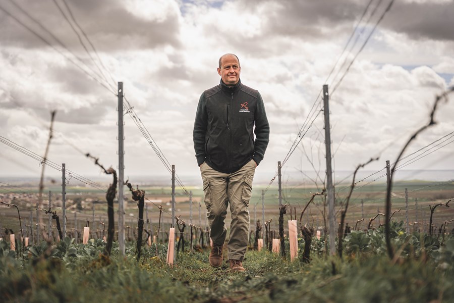 <p>Eiendommen best&aring;r av 4,6 hektar fordelt p&aring; 17 parseller, hovedsakelig i grand cru-en Bouzy, men ogs&aring; med andeler i grand cru-ene Ambonnay og Louvois, samt premier cru-en Tauxi&egrave;res. Forel&oslash;pig beholdes bare rundt 20 prosent av druene til egen produksjon mens resten selges til n&eacute;gocianter. Plantene har en gjennomsnittsalder p&aring; rundt 40 &aring;r og kultiveres med &oslash;kologiske og biodynamiske virkemidler. For Georges er det viktig &aring; jobbe med modne druer og han er derfor blant de siste dyrkerne i omr&aring;det til &aring; h&oslash;ste druene.</p>
<p>Bouzy er en sydvendt kommunene med kalkholdig jordsmonn. Dette gir viner med gener&oslash;s, moden og kompleks frukt i kombinasjon med friskhet, struktur og nerve.</p>