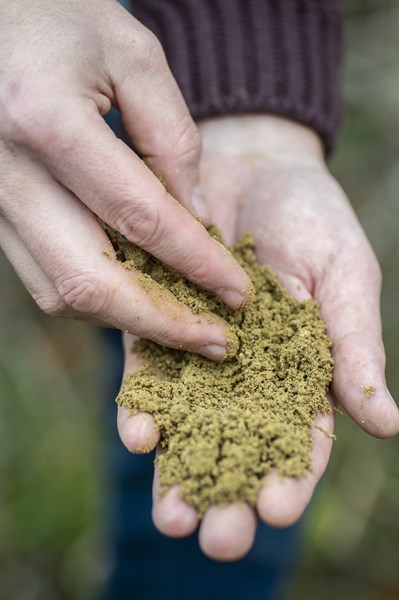 <p>Massif de Saint-Thierry er den nordligste delen av Champagne. Jordsmonnet her er typisk sandholdig, men ogs&aring; med innslag av leire, lignitt og kalkstein. Eiendommen er for det meste beplantet med Pinot Meunier, samt mindre mengder Chardonnay.</p>