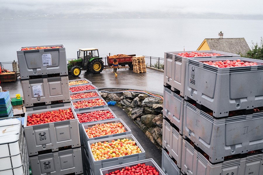 <p>R&aring;varekvaliteten er avgj&oslash;rende for kvaliteten p&aring; alle produkter som produseres. Derfor jobbes det aktivt med &aring; &oslash;ke egenproduksjonen, slik at alt fra beskj&aelig;ring til h&oslash;sting kan optimaliseres for &aring; frembringe de &oslash;nskede egenskapene i frukten. Terroir-begrepet blir stadig viktigere, og flere produkter produseres fra spesifikke teiger hvor det er identifisert egenskaper som passer godt i produktene. Det er ogs&aring; sentralt &aring; la frukten lede an &ndash; &aring; la frukten bli til den drikken den selv &oslash;nsker &aring; v&aelig;re. Selv om produksjonen &oslash;ker, er det fortsatt en sterk vektlegging p&aring; relativt sm&aring; fermenteringsprosesser. Det er blant annet &oslash;kende fokus p&aring; fatgj&aelig;ring i 225- og 500-liters eikefat. Fra 2022-sesongen var omtrent 50 eikefat i bruk, og dette antallet vil &oslash;ke. Tid spiller en viktig rolle og i motsetning til mange andre, gir Gjermund og Arita sider og is-sider god tid til &aring; utvikle seg. Etter prim&aelig;rgj&aelig;ringen tilbringer disse fra seks til tolv m&aring;neder p&aring; bunnfallet f&oslash;r de enten g&aring;r videre til en sekund&aelig;rfermentering i trykktank (Charmat-metoden) eller sekund&aelig;rfermenteres p&aring; flaske &ndash; enten ved tradisjonell metode eller Pet-Nat. Produktene som lages med tradisjonell metode tilbringer ytterligere to til fire &aring;r p&aring; bunnfallet f&oslash;r degorgering. For destillater og Fylgje (den norskinspirerte Pommeau-drikken) er tiden enda viktigere, og her kan det g&aring; fire &aring;r til enda lenger fra h&oslash;sting til produktet er klart.</p>