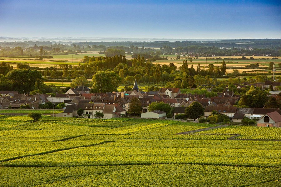 <p>Det er kjent at Claude Leflaive slo seg ned i Puligny-Montrachet i &aring;r 1717, men det er med Joseph Leflaive sin etablering i 1920 at det vi i dag kjenner som Domaine Leflaive ble til. Han kj&oslash;pte rundt 25 hektar med vinmark i Puligny-Montrachet og startet en utstrakt replanting av vinstokker som hadde blitt tatt av dage av vinlusen <em>phylloxera</em>, og var ogs&aring; tidlig ute med &aring; selge viner under egen etikett, og ikke via <em>n&eacute;gocianter</em>. Joseph ble fulgt av sine s&oslash;nner, Vincent og Jo, f&oslash;r Anne-Claude Leflaive tok over styringen i 1990. Olivier Leflaive, hennes s&oslash;skenbarn, var ogs&aring; involvert i produksjonen fra 1982 til 1994, men forlot s&aring; eiendommen for &aring; satse p&aring; sin egen virksomhet. Noe av det f&oslash;rste Anne-Claude gjorde var &aring; konvertere eiendommen til biodynamisk dyrking. Siden 1998 har alle vinmarkene v&aelig;rt kultivert deretter, og Leflaive har blitt en av de mest kjente eiendommene av denne vitikulturfilosofien. Hun jobbet f&oslash;rst sammen med Pierre Morey og deretter Eric Remy. Etter Anne-Claude&rsquo;s d&oslash;d i 2015, har eiendommen v&aelig;rt ledet av hennes s&oslash;skenbarn Brice de la Morandi&egrave;re sammen med vinmaker Pierre Vincent.</p>