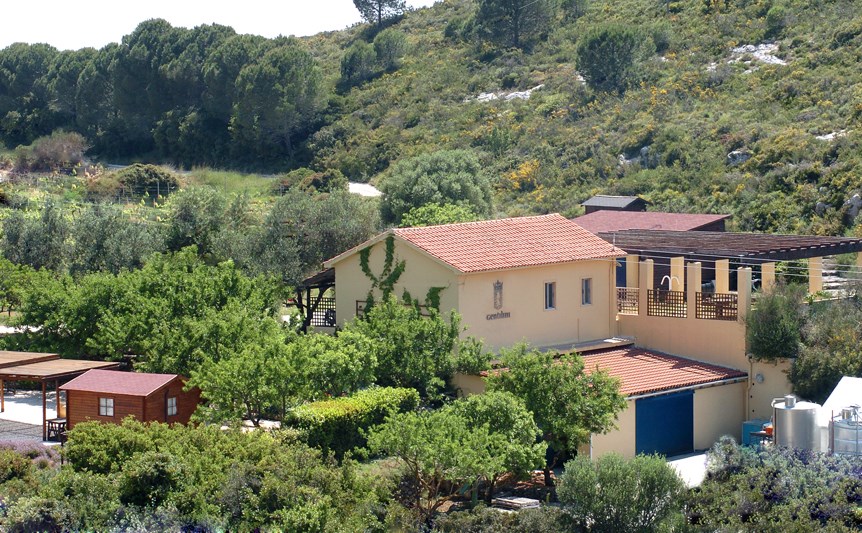 Gentilini Winery ble grunnlagt i 1984 av Spiros Kosmetatos, som plantet sin første vinmark med lokale og klassiske hvite druesorter etter å ha studert vinproduksjonsteknikker i Cape Town. Vingården er oppkalt etter hans bestemors etternavn, Gentilini, som stammer fra en gammel adelsfamilie på øya. Kosmetatos var en pioner innen gresk vinproduksjon og banet vei for andre boutique-vinerier som fulgte. I 2002 overtok andre generasjon, og vingården fortsetter å produsere topp kvalitet viner med fokus på lokale Kefaloniske druer.