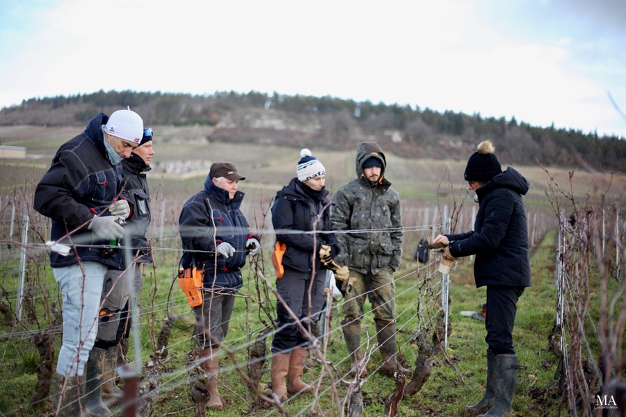 <p>Alle druene h&oslash;stes for h&aring;nd i sm&aring; kasser, som s&aring; sendes direkte til vineriet i termobil. If&oslash;lge Bruno kommer fruktkvalitetens fulle potensial til syne gjennom presist kjellerarbeid, og hver eneste detalj teller for &aring; bevare vinenes finesse. Men i kjelleren kan man ikke kompensere for det man eventuelt ikke klarte &aring; oppn&aring; i vinmarken, mener Bruno, s&aring; det gj&oslash;res selvsagt ingen sukker- eller syretilsetning i vinene, uansett &aring;rgang.</p>
<p>Druene for de hvite vinene presses over uvanlig lang tid, rundt fire timer, for &aring; oppn&aring; ekstrakt fra skallene og gi kvalitet til bunnfallet vinen skal vinifiseres med. De r&oslash;de vinene gjennomg&aring;r relativt lange maserasjoner med typisk rundt tre firedeler hele klaser ved relativt kj&oslash;lige temperaturer i temperaturkontrollerte rustfrie st&aring;ltanker. B&aring;de de hvite og r&oslash;de vinene gjennomg&aring;r lang <em>&eacute;levage</em>, rundt 18 m&aring;neder p&aring; fat og 4-6 m&aring;neder p&aring; tank f&oslash;r tapping p&aring; flaske uten klaring eller filtrering, Bruno bruker kun sm&aring; mengder svovel i vinifikasjonen.</p>
<p>Bruno jobbet tidligere som internasjonal salgsdirekt&oslash;r i Tonnellerie Mercurey, og er dermed selvsagt sv&aelig;rt kresen p&aring; fat. Han plukker selv ut r&aring;materialet i skogen, og produserer fatene selv. Han foretrekker fat med sv&aelig;rt lett toasting, slik at fatets karakter blir integrert i vinene p&aring; subtilt og harmonisk vis, noe som kanskje er vel s&aring; viktig som at han har redusert andelen nye fat de senere &aring;rene.</p>