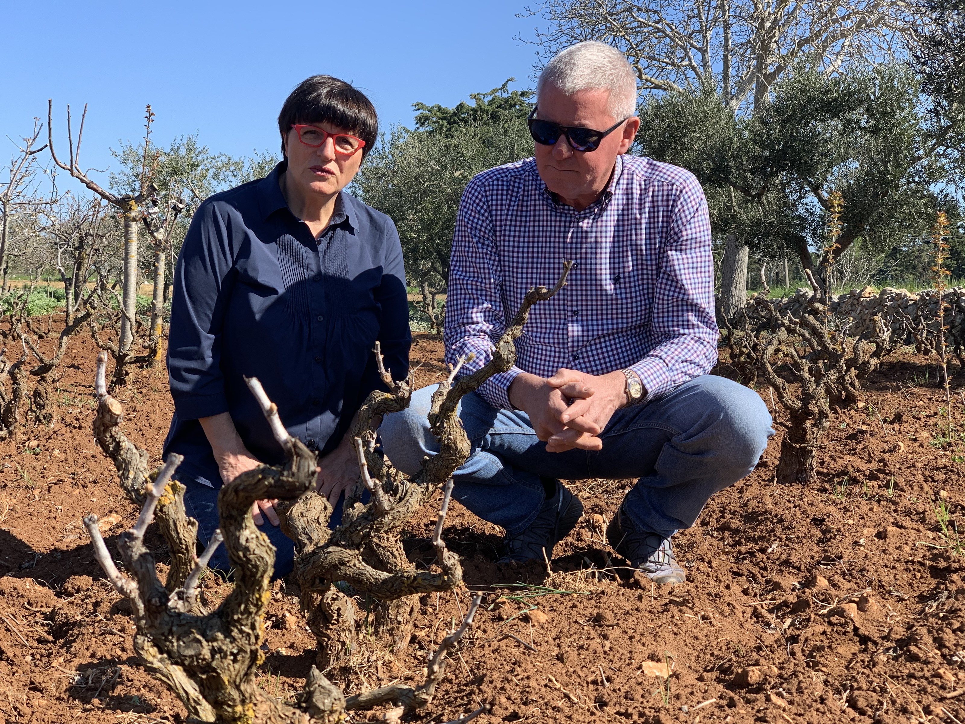 Mark Shannon og hans partner Elvezia Sbalchiero har lyktes i å gjøre primitivo til en av Italias mest omtalte druesorter. Ved å betale høye priser for de beste druene (fra 70 til 100 år gamle vinstokker) og kun fokusere på kvalitet og en moderne stil, har de revolusjonert primitivo-druens stil og tatt den til et helt nytt nivå. A Manos suksess kan videre i hvert fall delvis tilskrives kunnskapen Mark og Elvezia har opparbeidet seg etter 18 årganger i regionen. Ikke bare får de tilgang til Salentos beste druer, men dyrkerne deres har også innsett at hvis de vil ha den høyere prisen som A Mano betaler, må de sørge for å stadig øke druekvaliteten for hvert år som går.