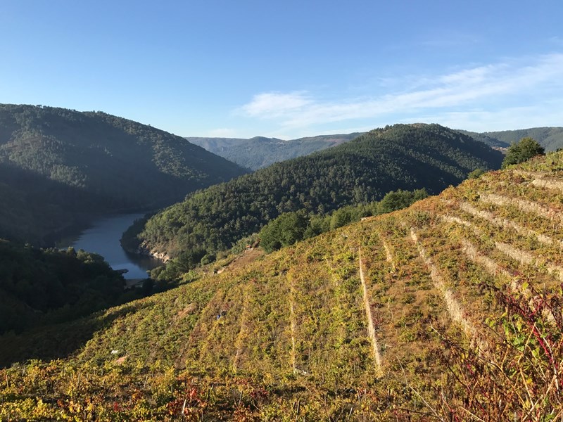 Castro Candaz er et samarbeidsprosjekt mellom Rodrigo Méndez (Forjas del Salnés, Rías Baixas) og Raúl Pérez (Bod y Vin Raúl Pérez, Bierzo) nær landsbyen A Cova i Ribeira Sacra. Vi befinner oss i den nordre og kjøligste sonen av appellasjonen, Chantada, der terraserte vinmarker stuper ned mot elven Miño cirka 500 m.o.h. (Guímaro som vi også jobber med, holder til i den varmere Amandi-sonen lengre sør.) Alt av vinmark leies, for øyeblikket er det vanskelig å få kjøpt noe land i området pga arverettigheter. I Finca el Curvado er det også litt kjøpte druer i tillegg til frukt fra de tre parsellene de leier. De kjøpte druene er fra venner hvor Raúl ig Rodri selv deltar i kultiveringen av vinmarken. Boca de Demo er kun fra denne enkeltvinmarken. Vineriet er også leid - i landsbyen Bendollo av en produsent som la ned for noen år siden.