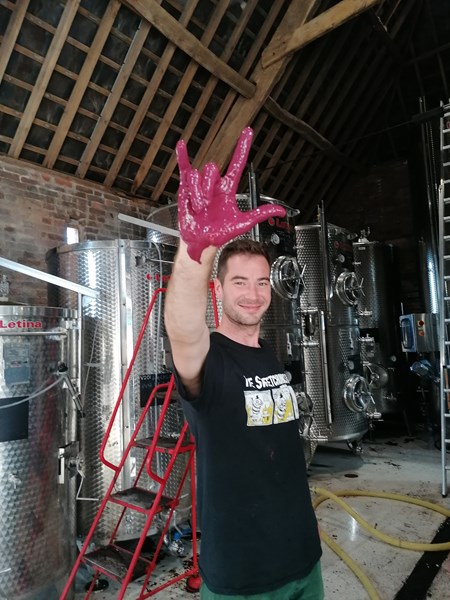 <p>Mens de fleste produsenter av engelsk musserende vin henter inspirasjon fra de store, kjente husene i Champagne, er vinmaker Tommy Grimshaw hos Langham mer inspirert av Grower Champagne-b&oslash;lgen. Langham bruker utelukkende egendyrkede druer og s&oslash;ker et modent og ekspressivt druemateriale. Med full kontroll p&aring; hele prosessen blir resultatet ogs&aring; viner med h&oslash;yere kvalitet.</p>